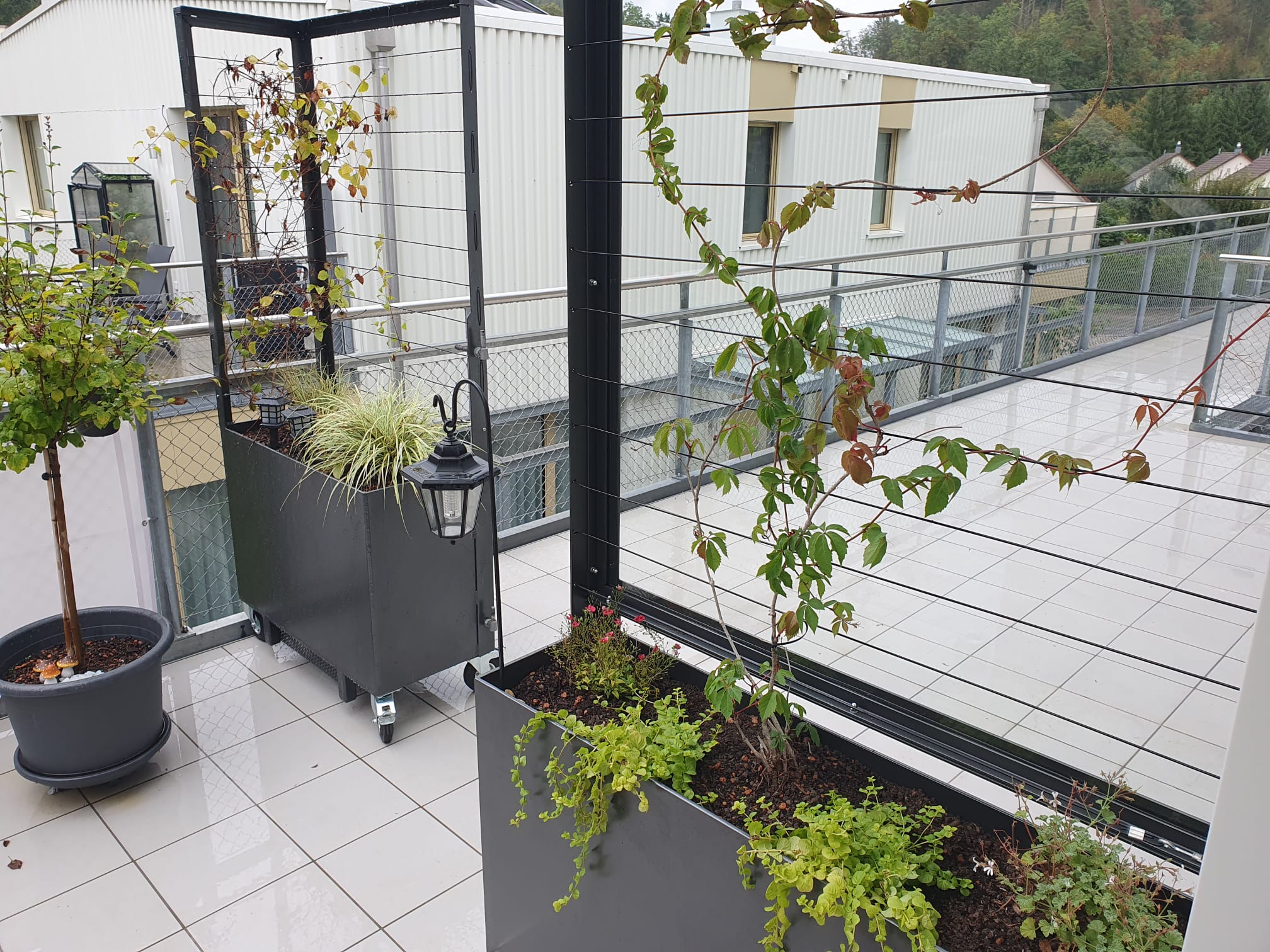 Dekoratives/Gartengestaltung